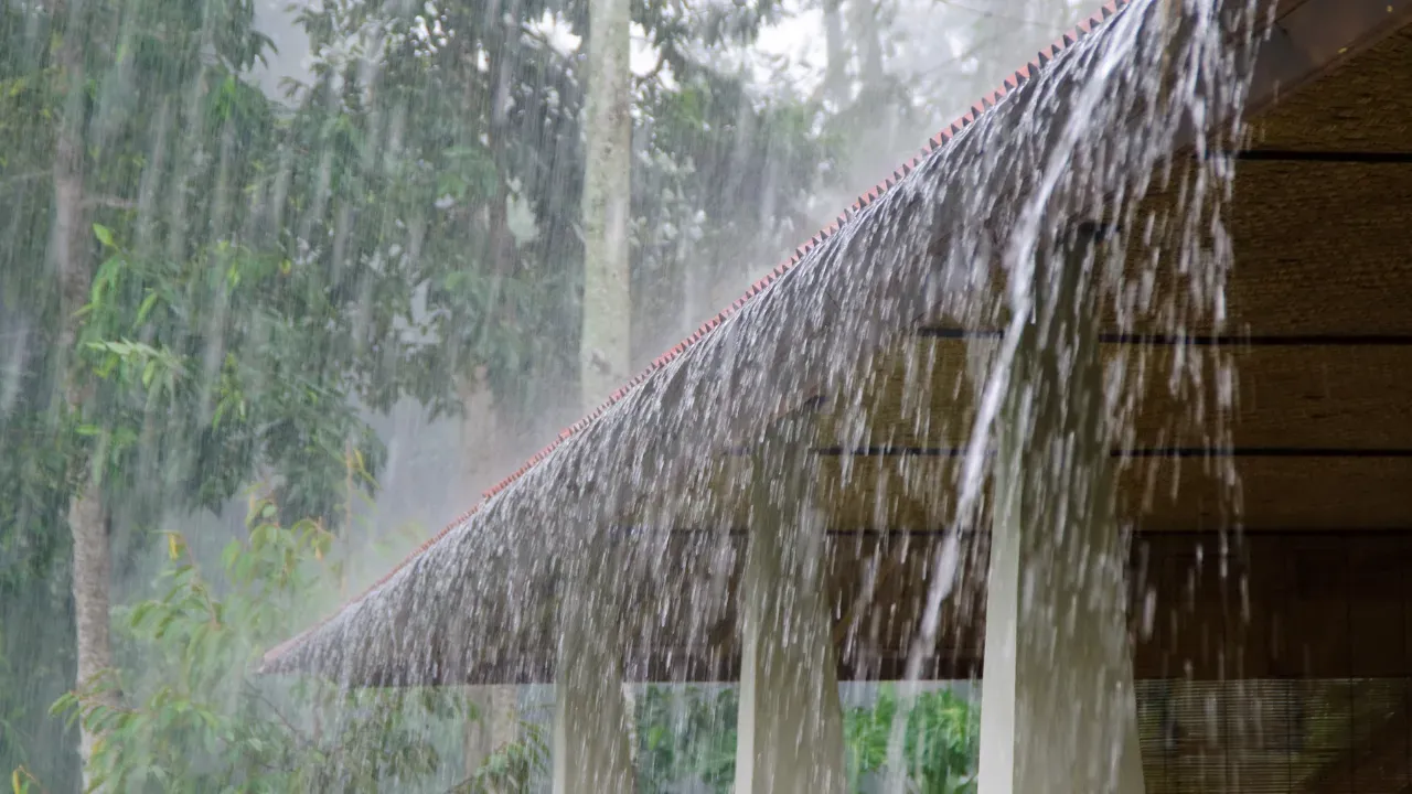 IMD issues orange, yellow alerts for heavy Odisha rainfall