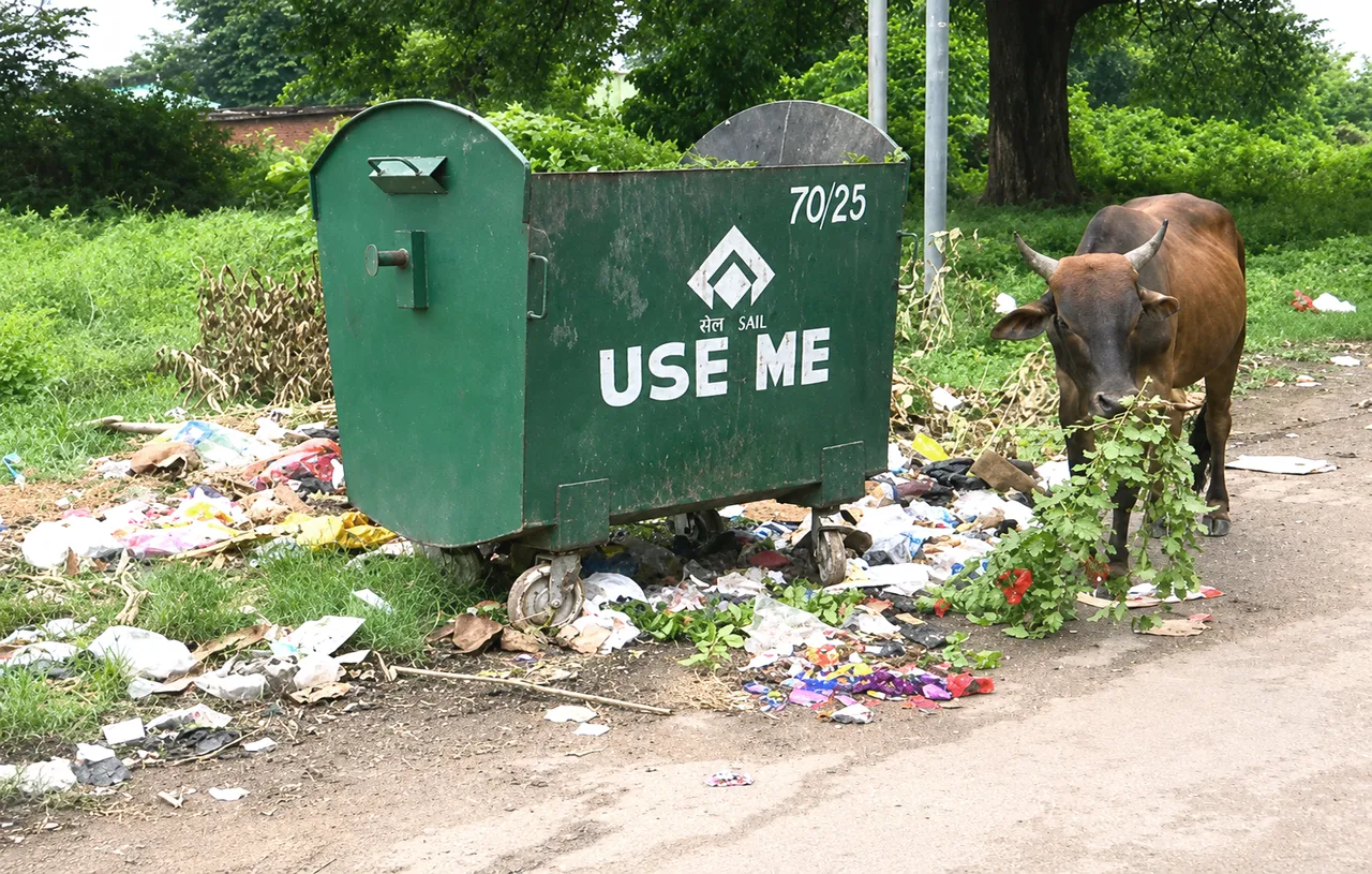 Rourkela Steel Township struggles with garbage, stagnant water, and foul smell
