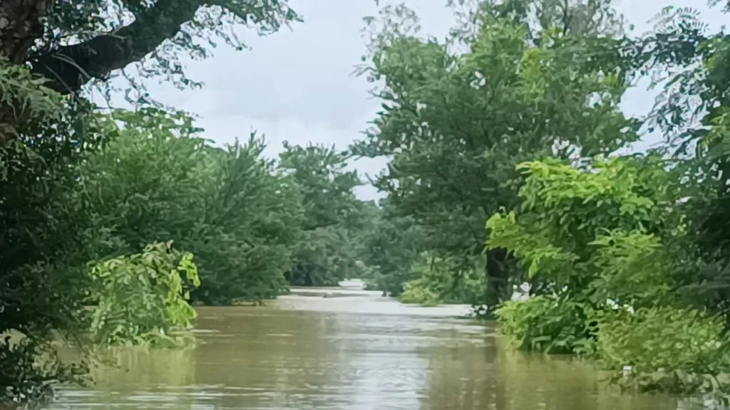 Kalahandi floods: Hati and Tel rivers swell after heavy rainfall