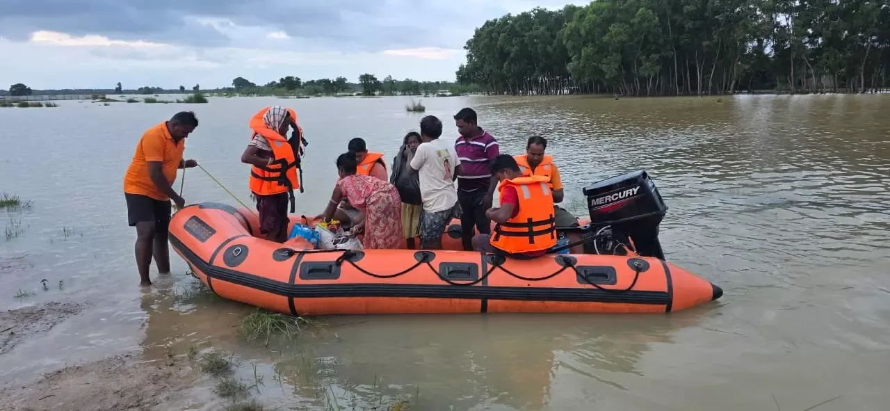 ODRAF rescues patient across swollen Mahanadi in Boudh