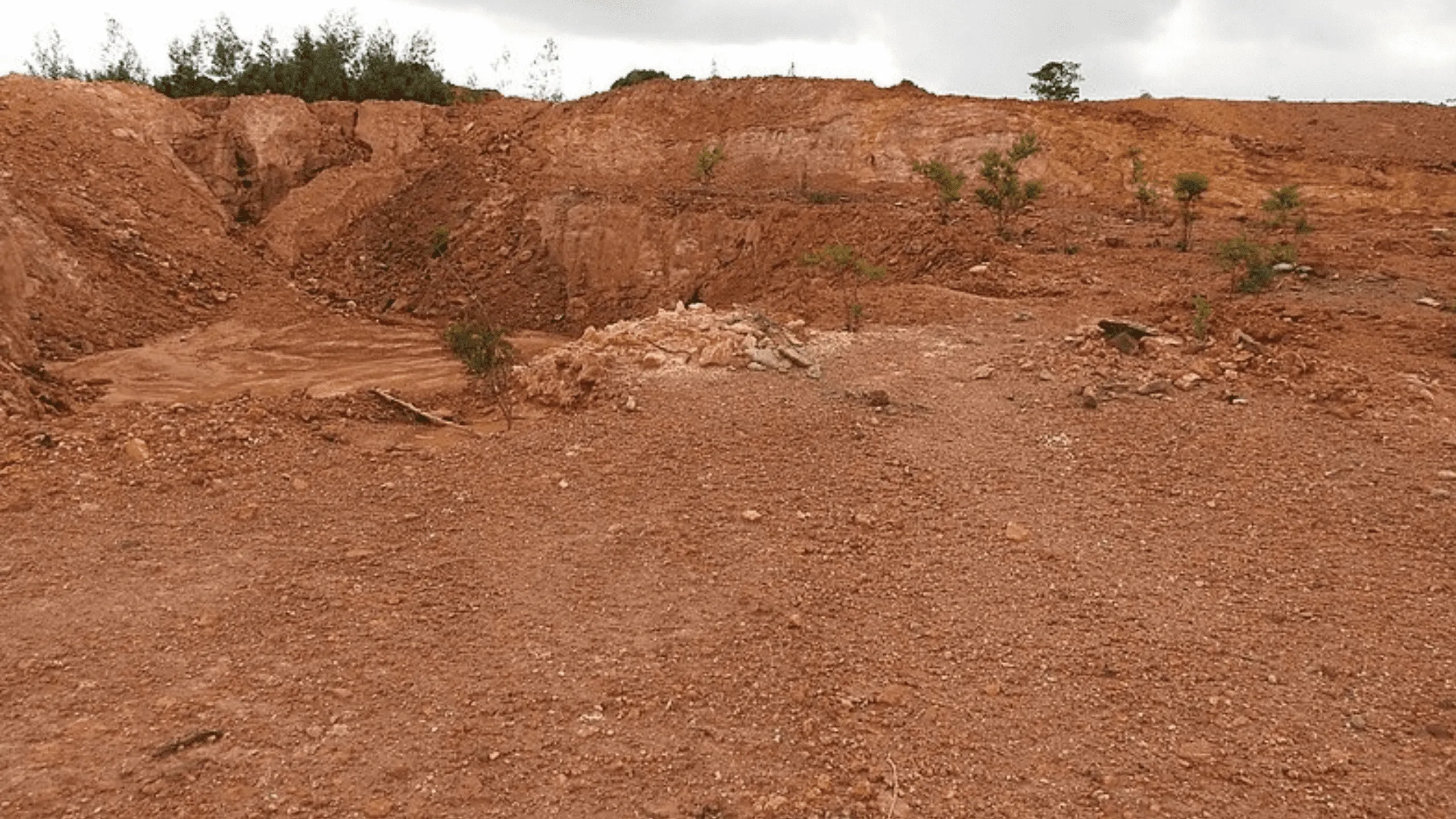 Orissa HC directs probe into police excesses on tribals opposing bauxite mine