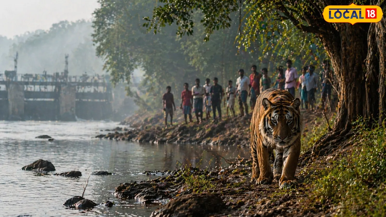 Tiger Terror in Boudh in Kanak News Aug 5 Headlines
