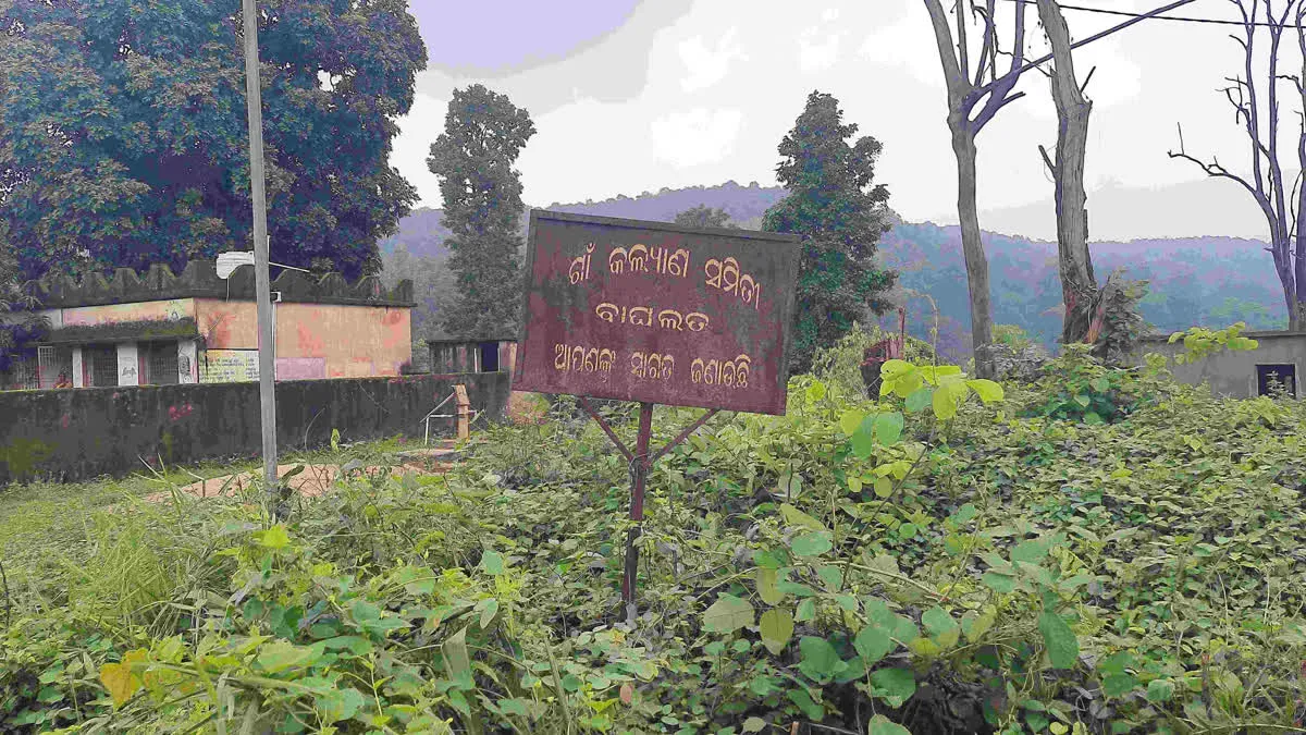 Zero Connectivity Hampers Maternal Health in Odisha's Baghalat Village
