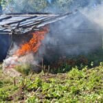 Security forces destroying illegal poppy fields in Manipur's Kangpokpi and Ukhrul districts